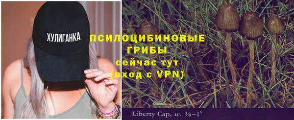 ешки Нефтегорск